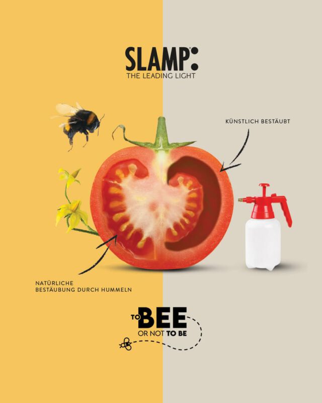 Slamp beitrag zum Thema Nachhaltigkeit mi den Projekt To BEE or not to BE